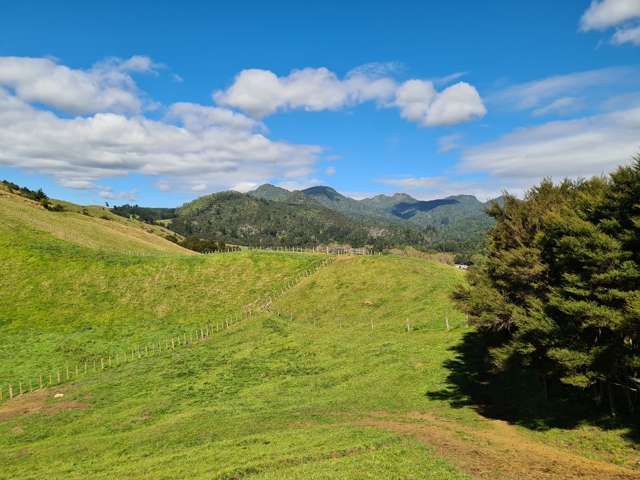 309c Wentworth Valley Road Whangamata_3