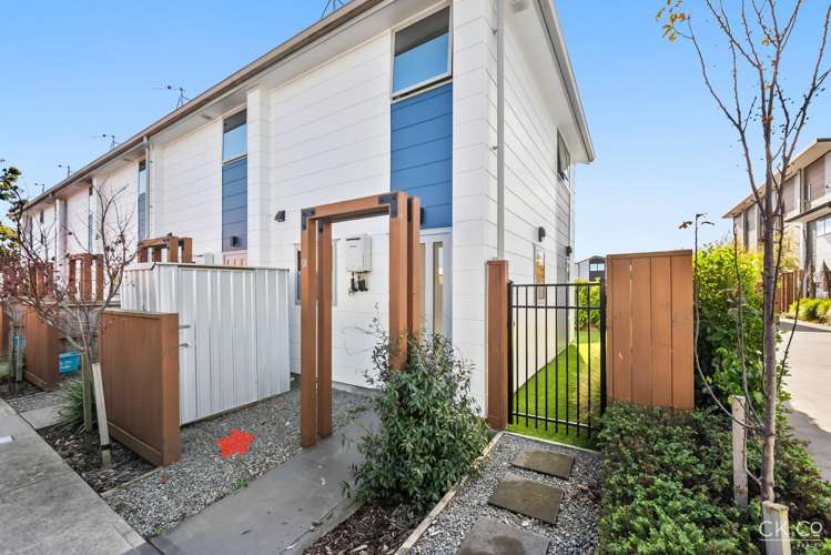 6/318 Oxford Terrace Avalon_13