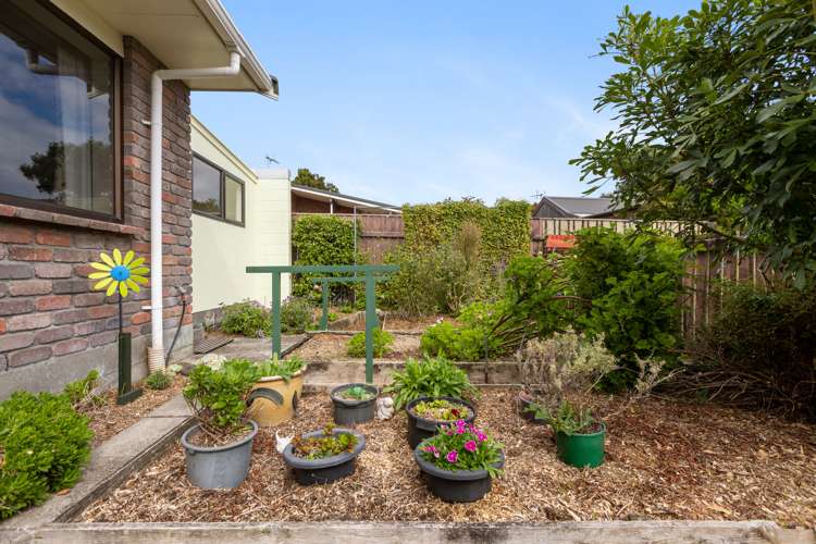 256 Tukapa Street Hurdon_22