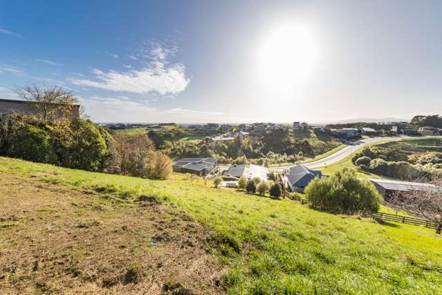 123 Ruapehu Drive Fitzherbert_4