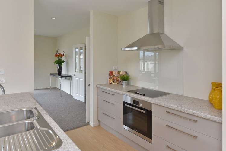 17 Pahua Street Pegasus_8