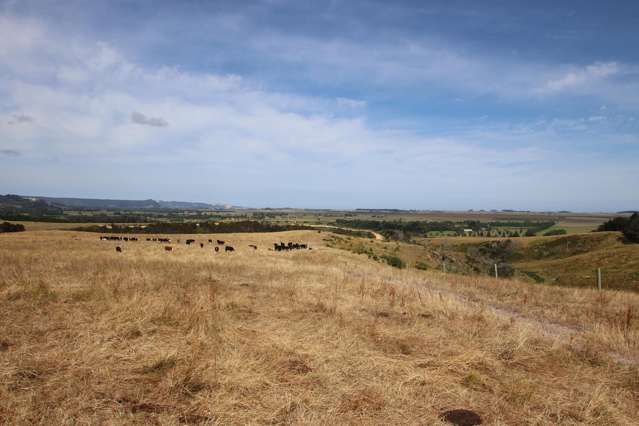 Okahu Road Kaitaia_1