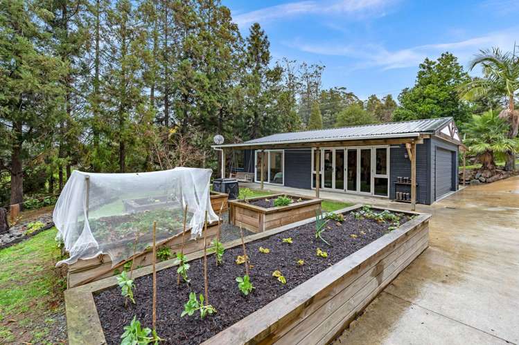 308 Otaika Valley Road Otaika_17