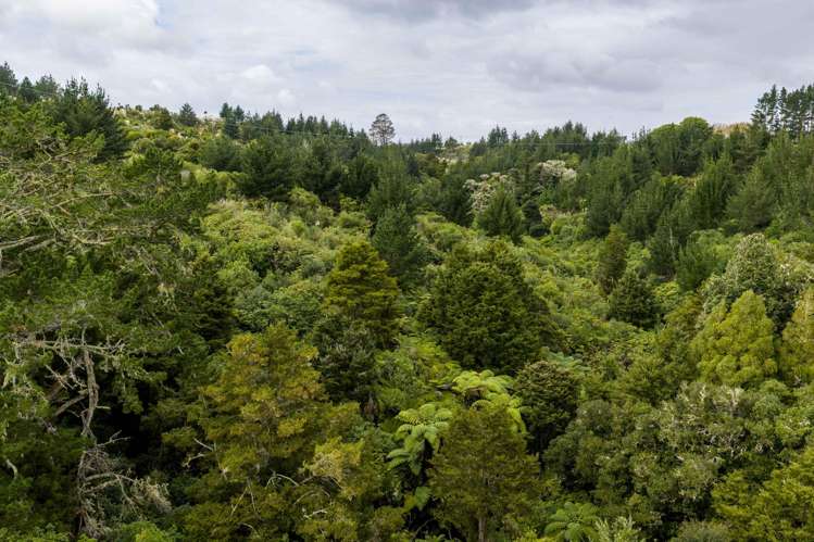 3044 Paparoa-Oakleigh Road, Paparoa Paparoa_26