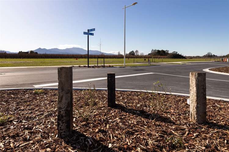 27 Whitehall Drive Springlands_4