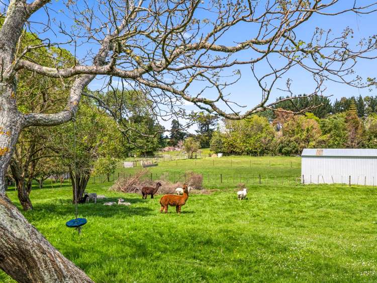 489 Kaikokopu Road Brunswick_34