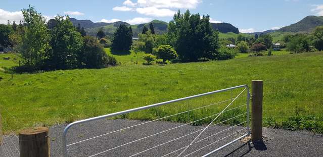 . Buller Street Waihi_1