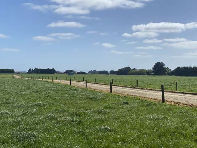 1005 Woodlands Invercargill Highway Longbush_1