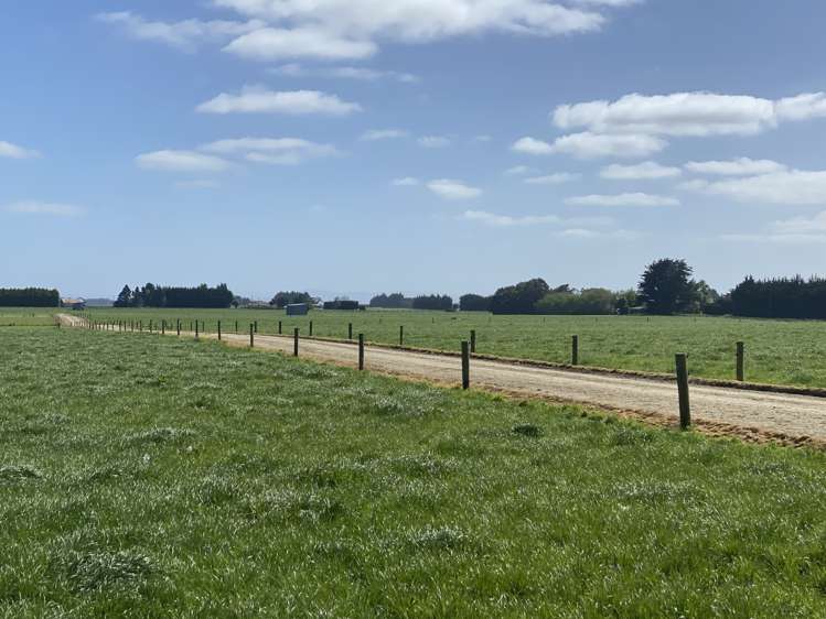 1005 Woodlands Invercargill Highway Longbush_1