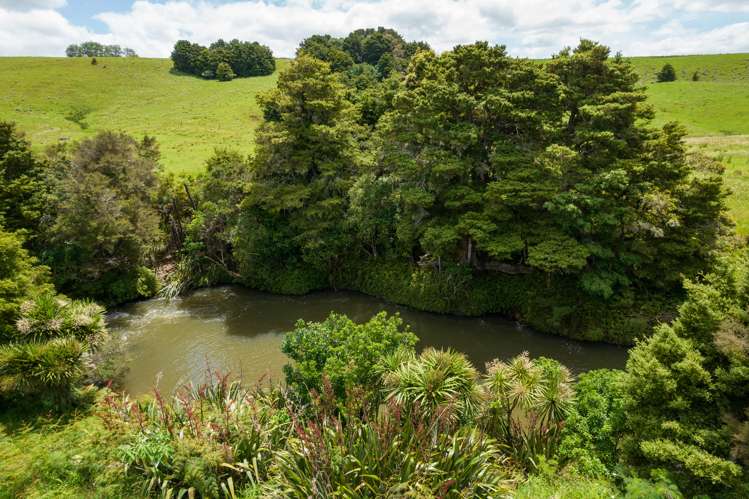 7 Field View Kerikeri_17