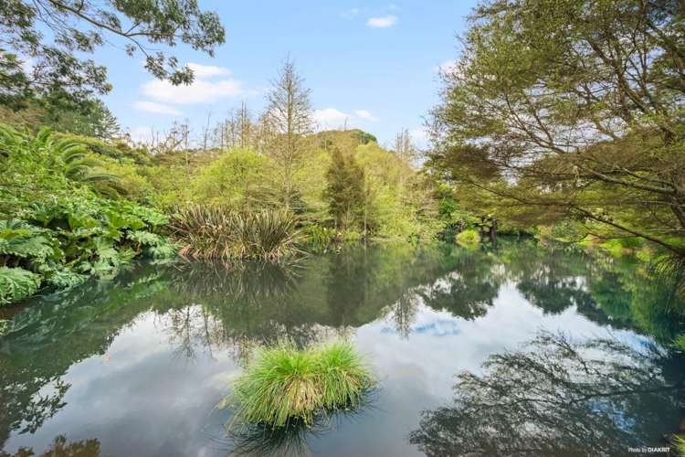 7 Pinnacle Hill Road Mangatawhiri_4