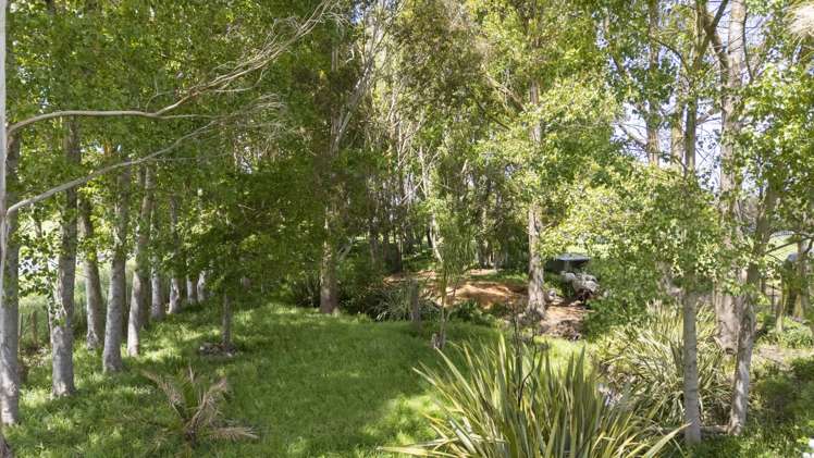 25 Godley Street Halcombe_29