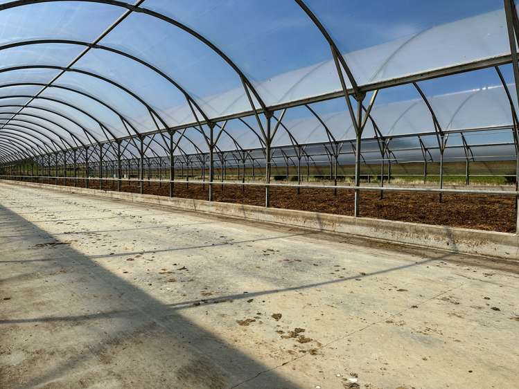 50 Mill Road Gore Surrounds_22