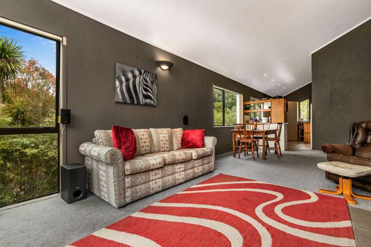 10 Hydra Place Glen Eden_7