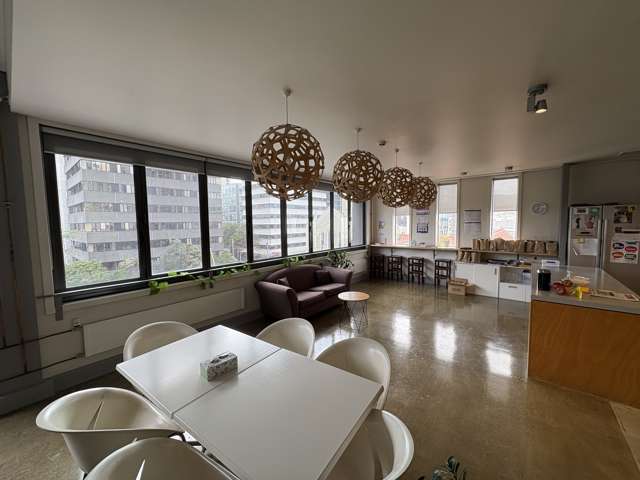 119 Ghuznee Te Aro_1