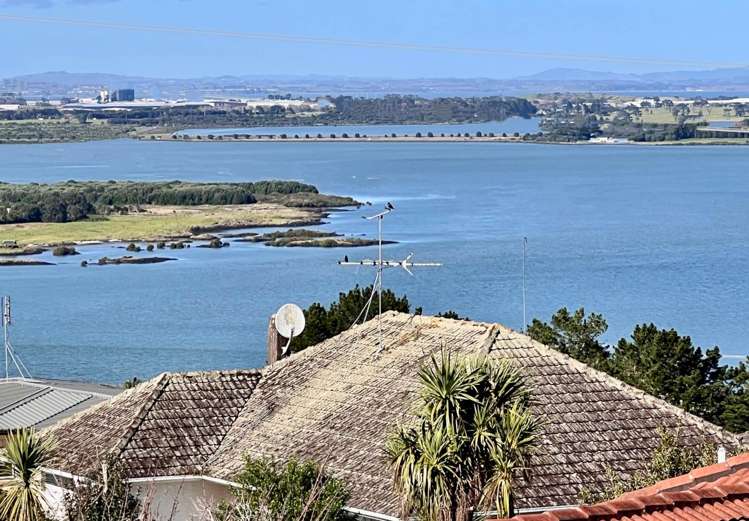 3d Aldersgate Road Hillsborough_18