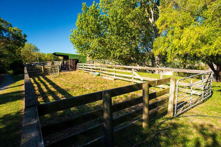 559 Wainui Road Kaiti_4