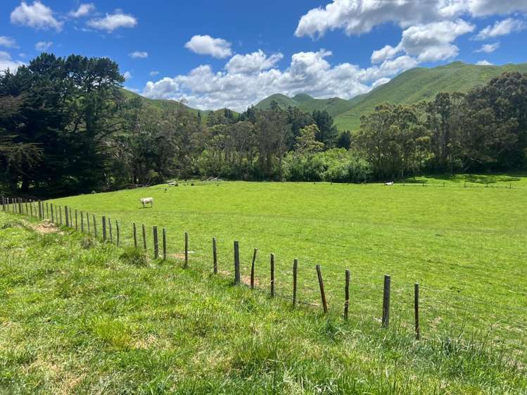 Lot Lot 1/9 Tamaki East Road Dannevirke_25