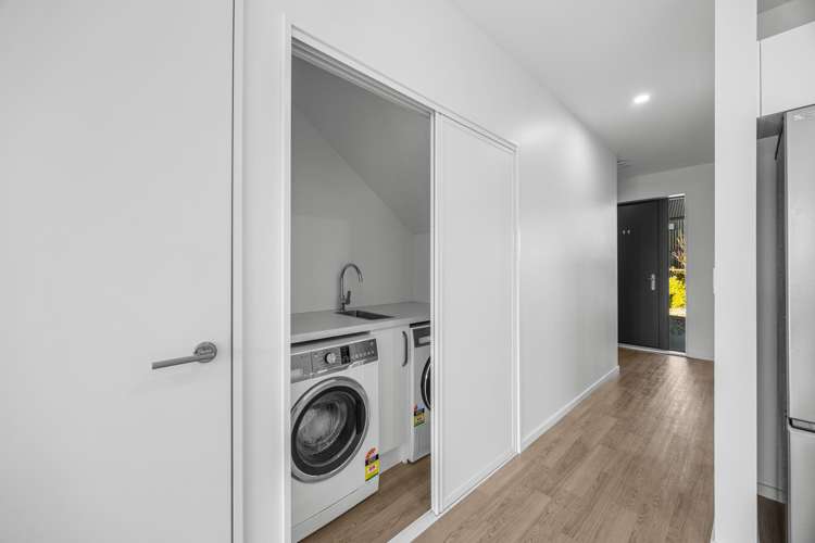17 Mount Nicholas Avenue_5