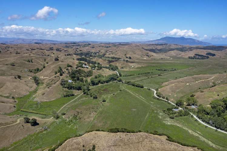 475 Te Akau South Road Te Akau_18