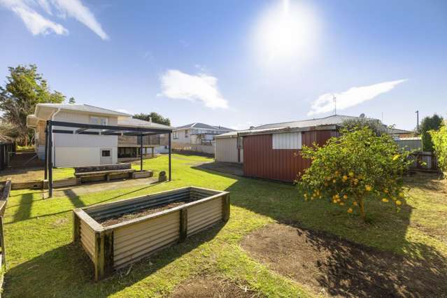 44 Hynds Road Greerton_1