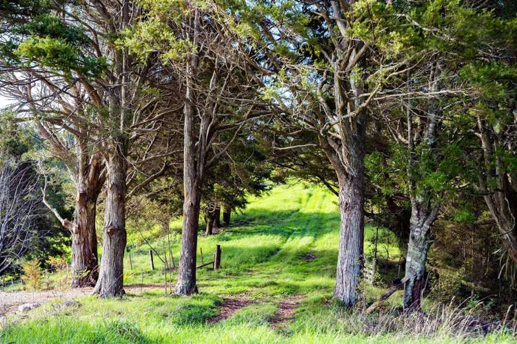 1458 Ngunguru Road Ngunguru_8