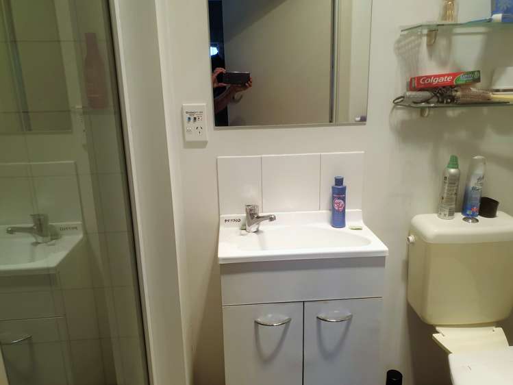 23 Grant Street Dannevirke_8