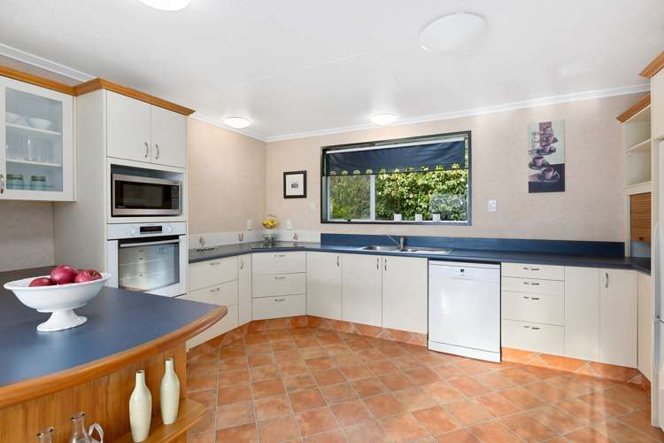 219 Larnach Road Waverley_2