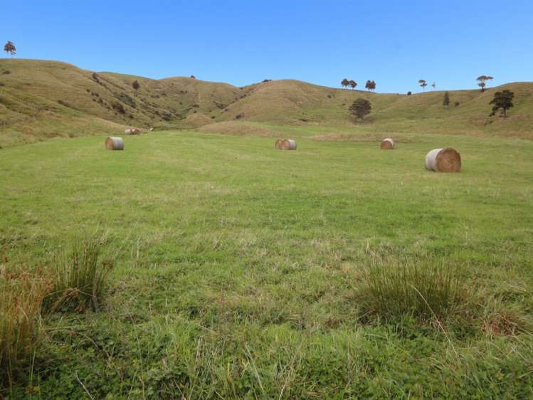 190 Harris Road Woodville_0