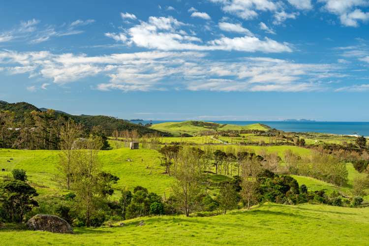 196b Ocean Beach Road Whangarei Heads_18