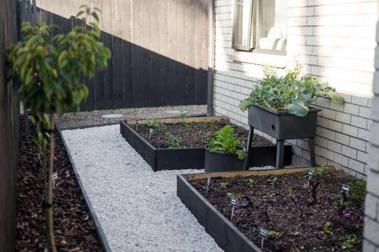 3 Hawkins Lane Cambridge_33