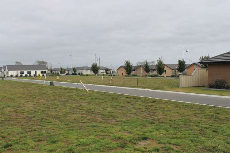 73 Mary Ellen Street Pegasus_5