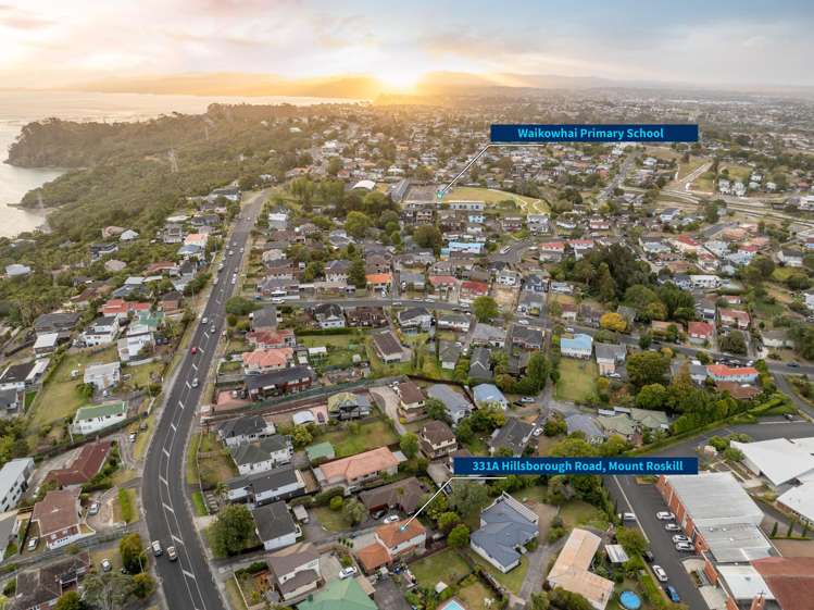 331A Hillsborough Road Hillsborough_27