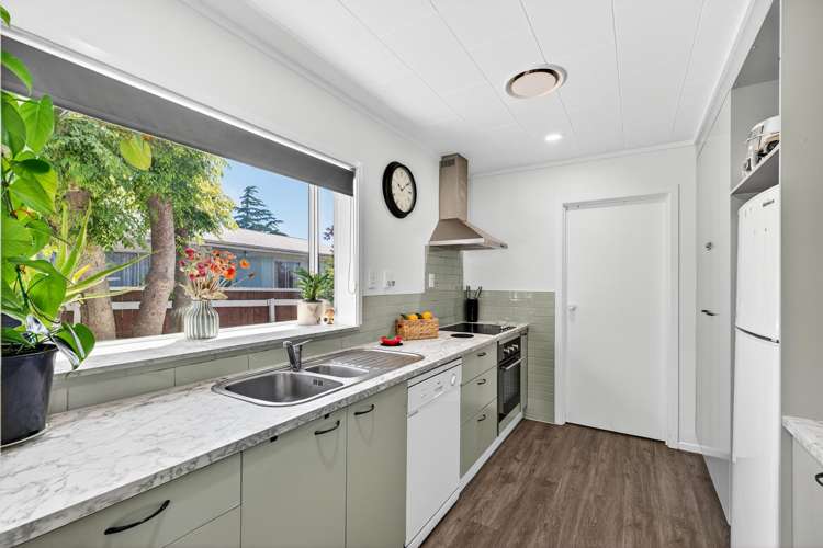 20 Norfolk Street Tamatea_3