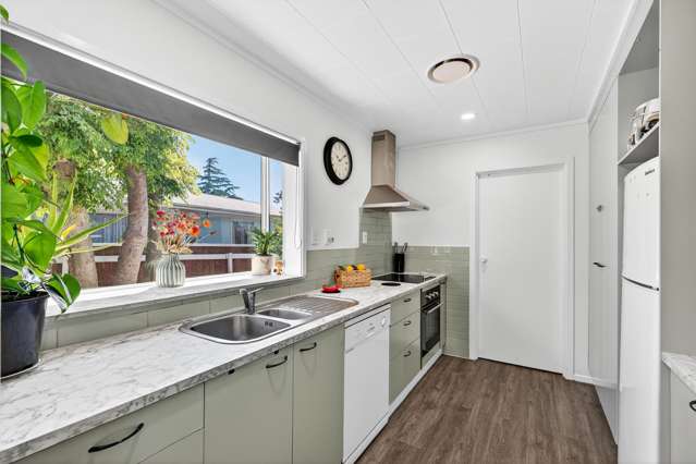 20 Norfolk Street Tamatea_3