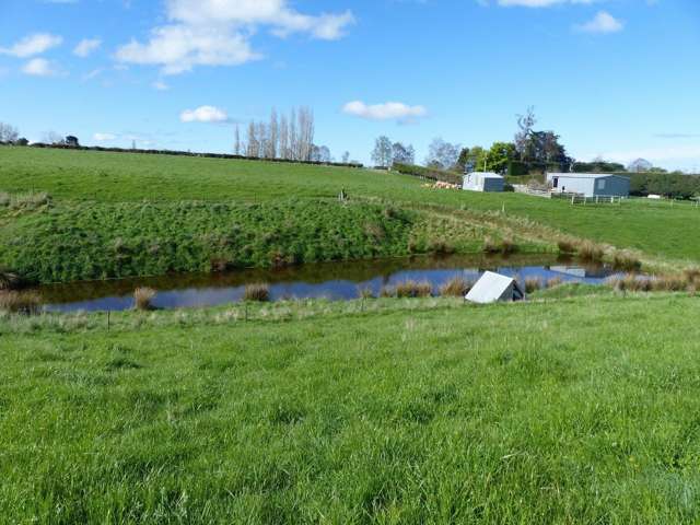 Whitneys Road Waimate_2