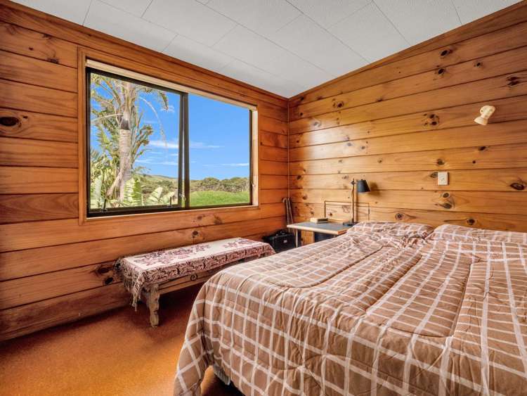 487 Wilson Road South Head Helensville_14