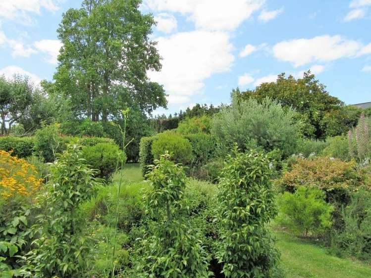 8 Oranga Lane Feilding_5