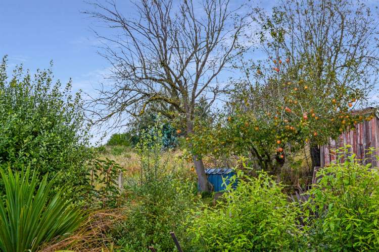 13 Back Road Five Forks and Surrounds_11