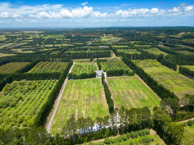 Adventure Awaits on this Fertile 4-Hectare Canvas