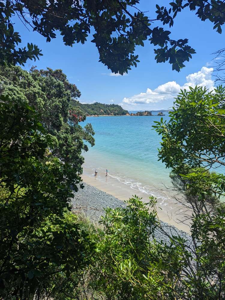 107 Howard Road Orere Point_25