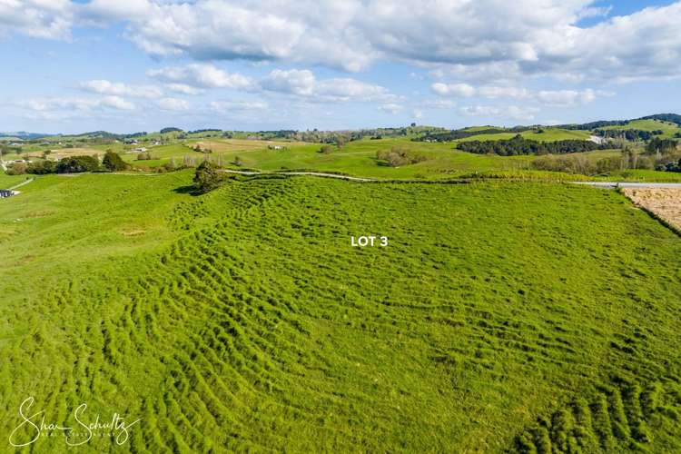 Judd Road Maungaturoto_3