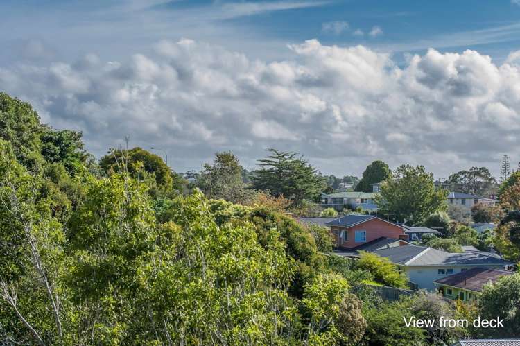 22 Salisbury Road Birkdale_8