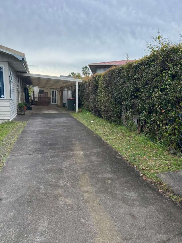 16a Pelorus Pl Pakuranga_1