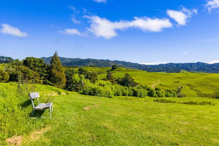 470a Tara Road Mangawhai_75