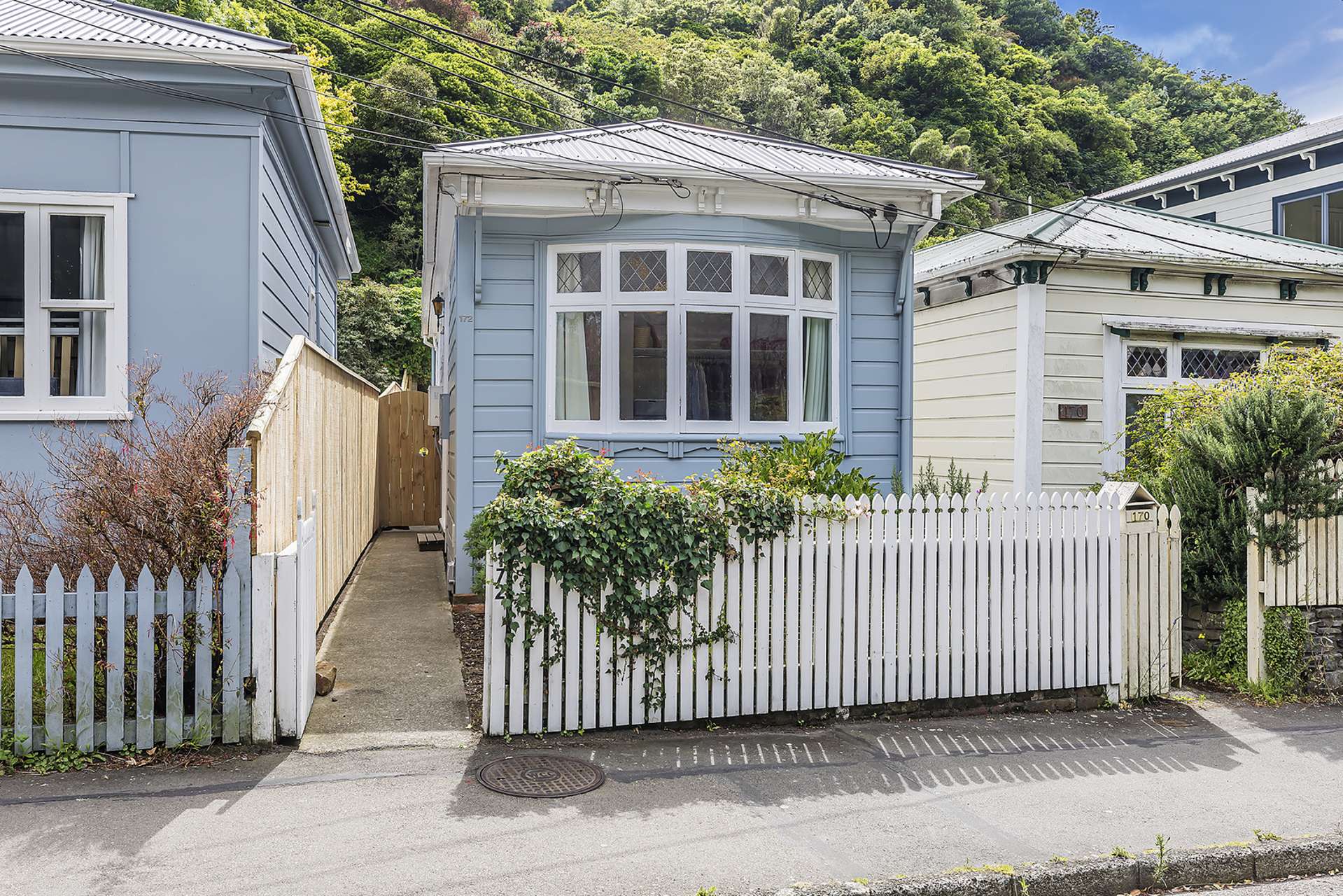 172 Aro Street Aro Valley_0