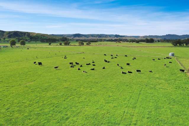 Bluff Road Woodville_4