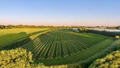 2124 State Highway 1_2