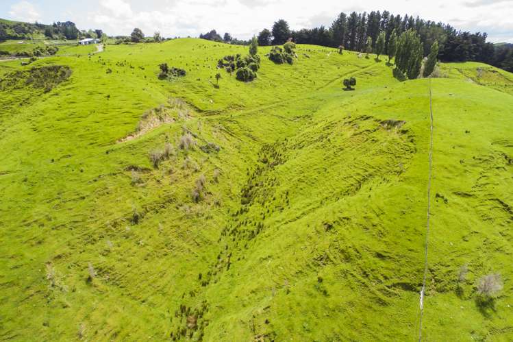 Finnis Road Pohangina_8