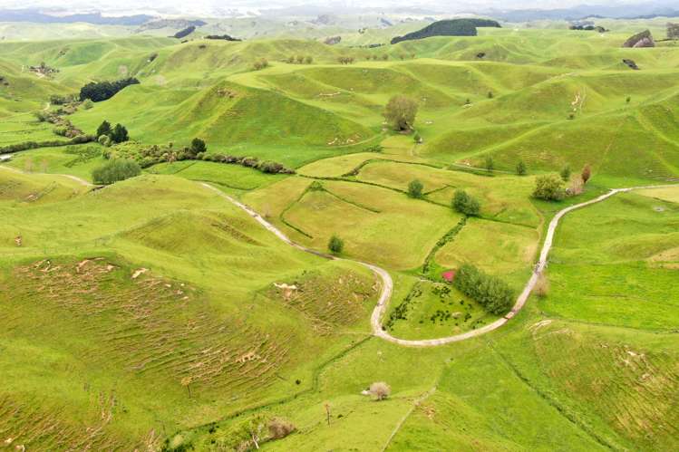 166 Airstrip Road Pikowai_31